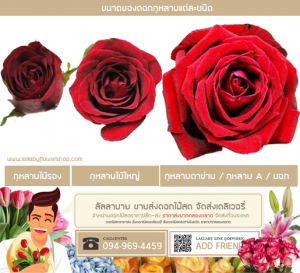 ขนาดของดอกกุหลาบ